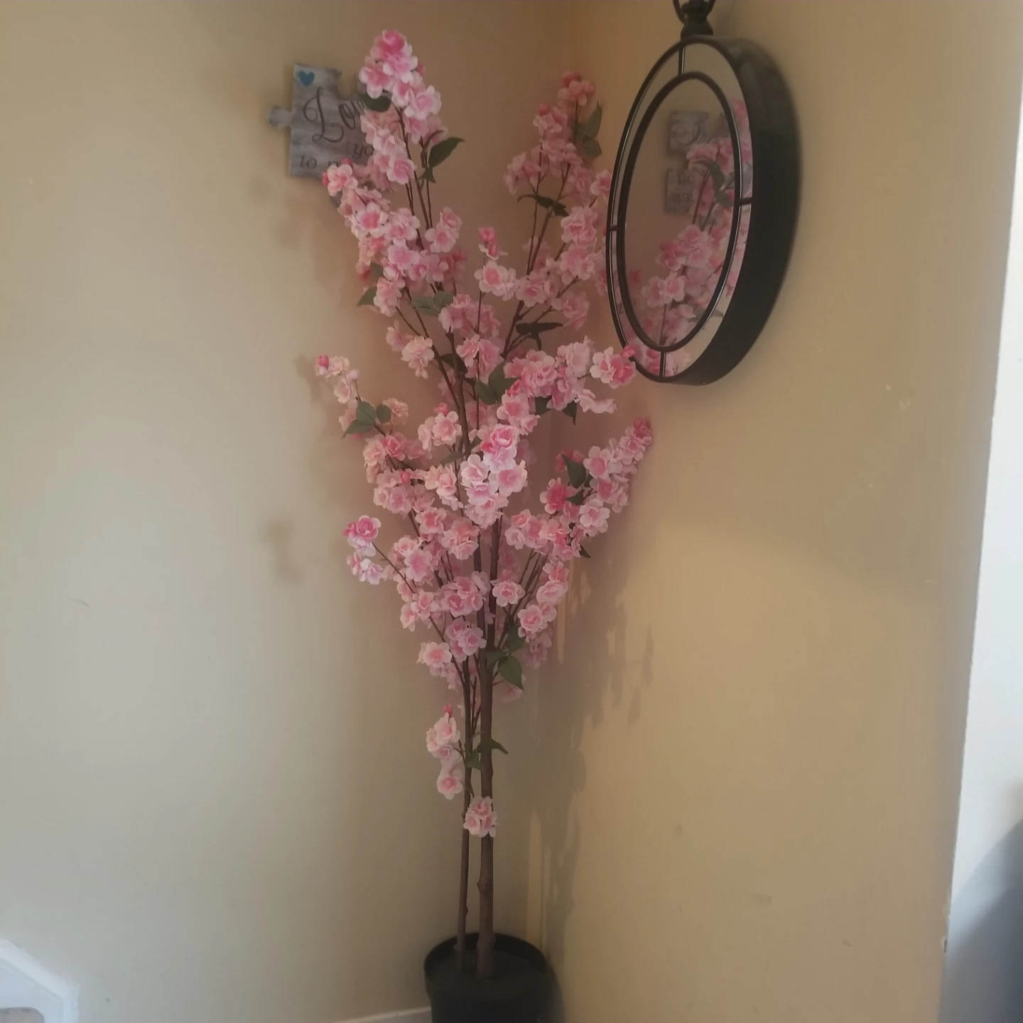 Ashland 6ft Pink Cherry Blossom Trees - photo 2