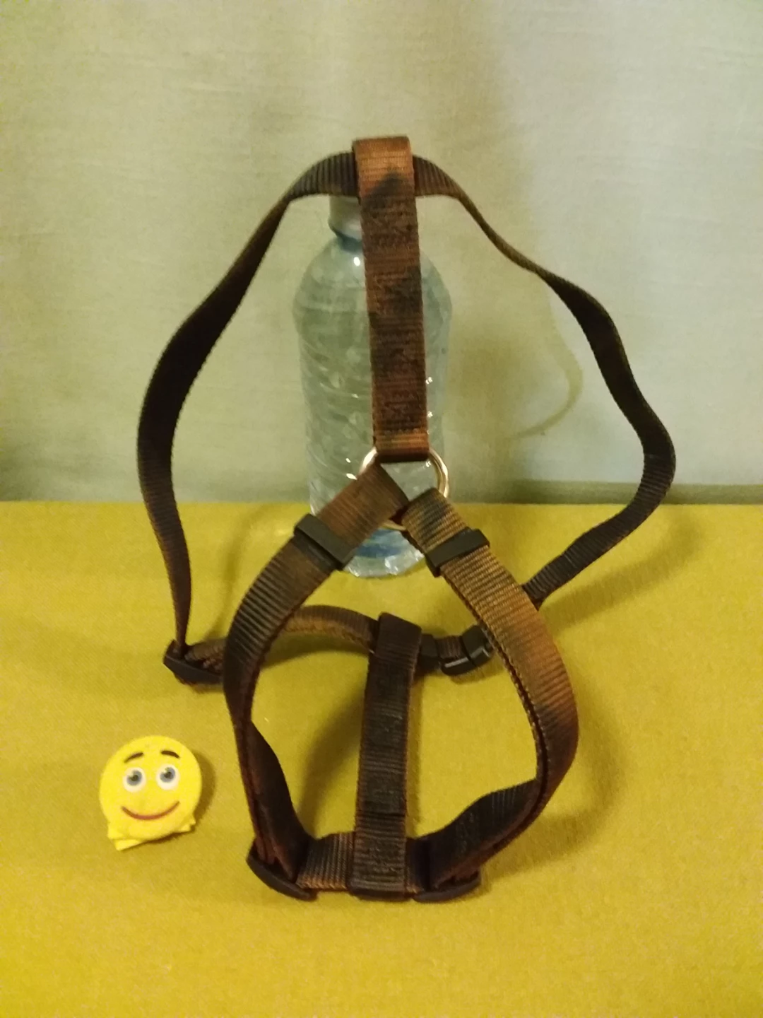 🏈 🐕 ➡️ Nylon Dog Harness