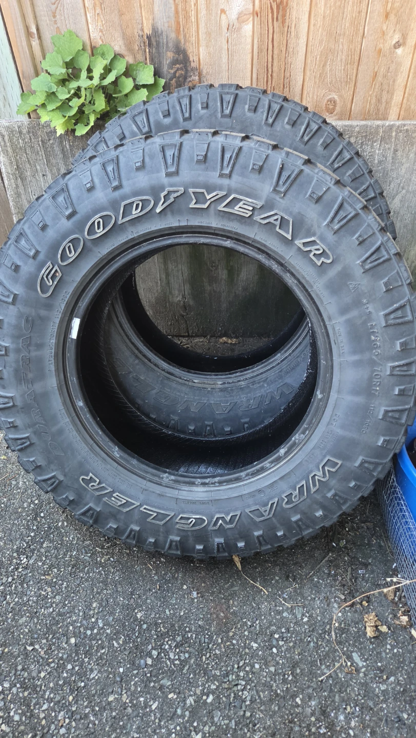 Goodyear wrangler
