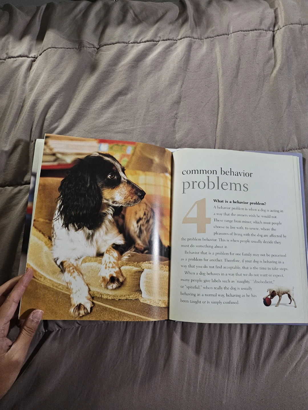 Understanding Your Dog Training Illustrated Guide Book - photo 2