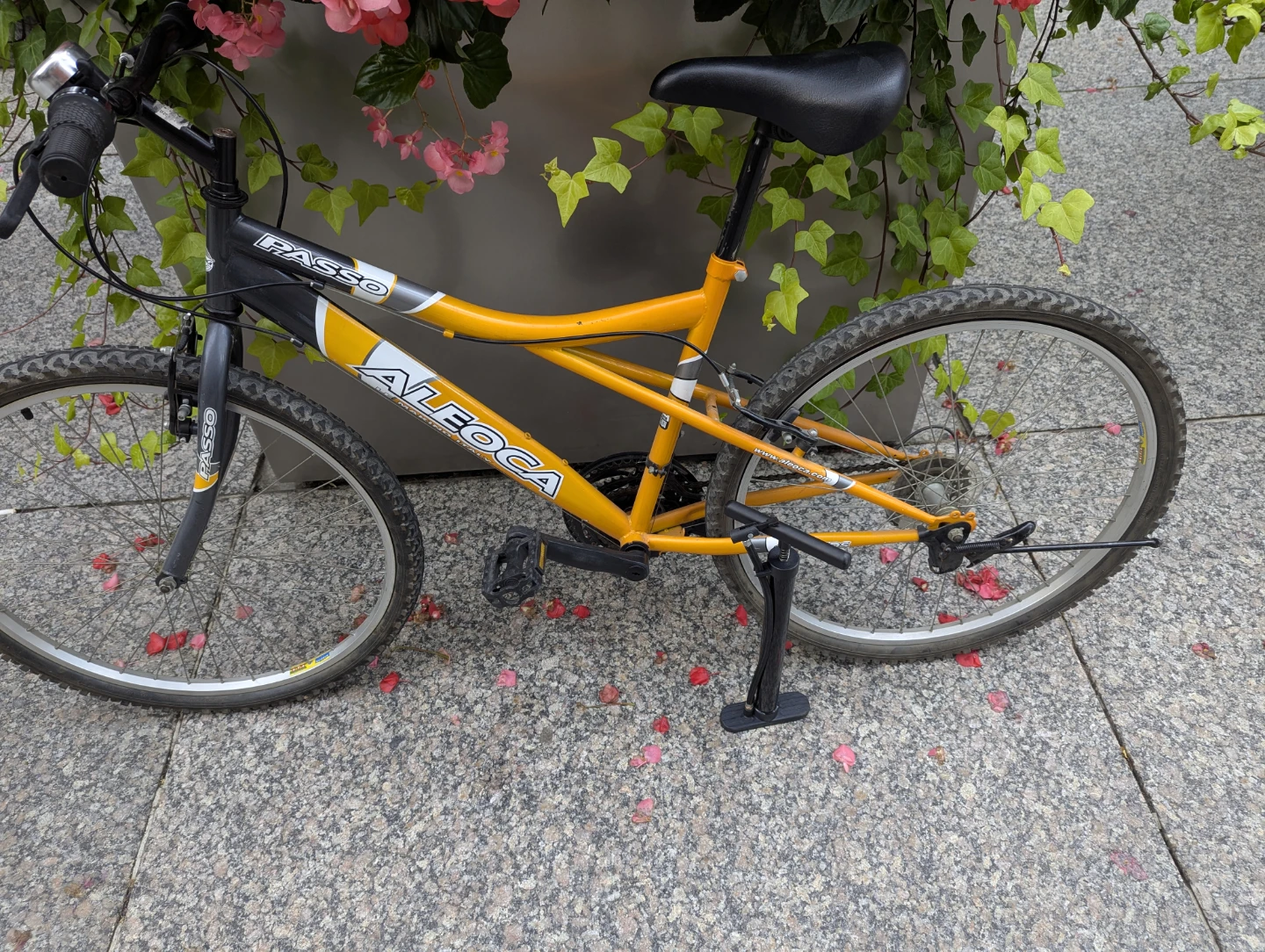 18 speed mountain bike and pump