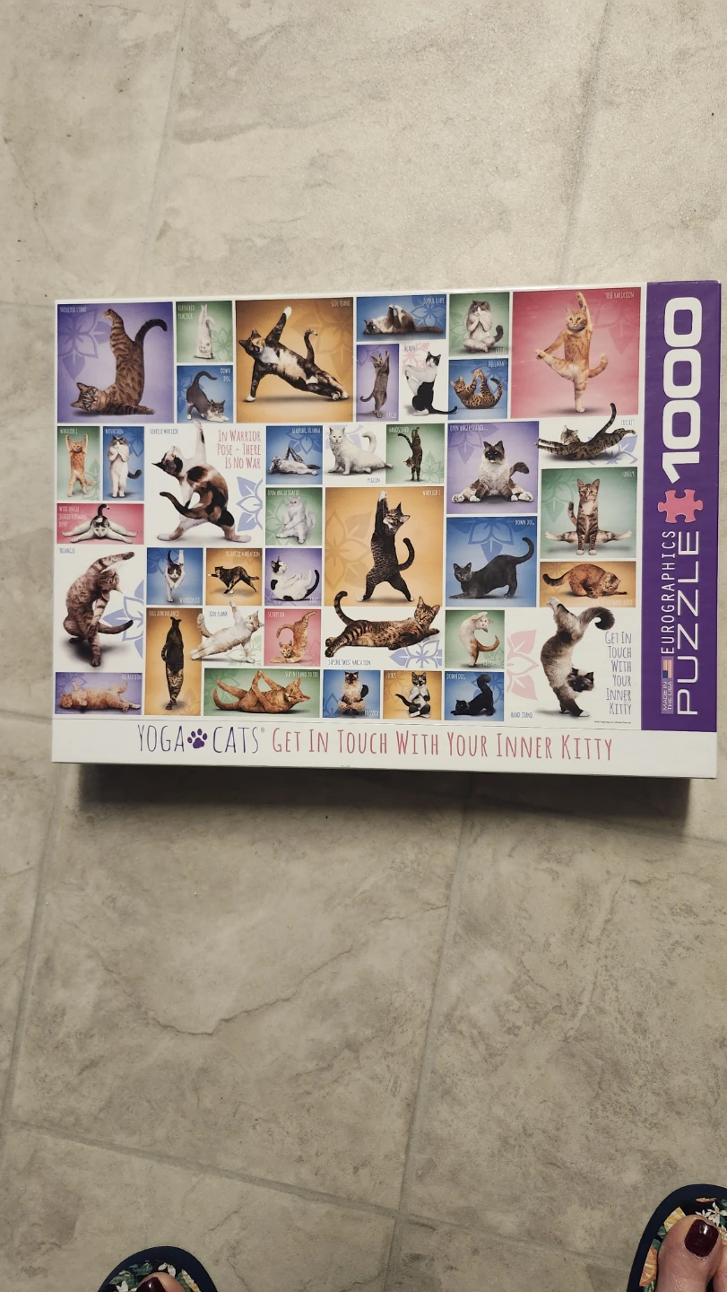 EuroGraphics Yoga Cats 1000 Piece Jigsaw Puzzle