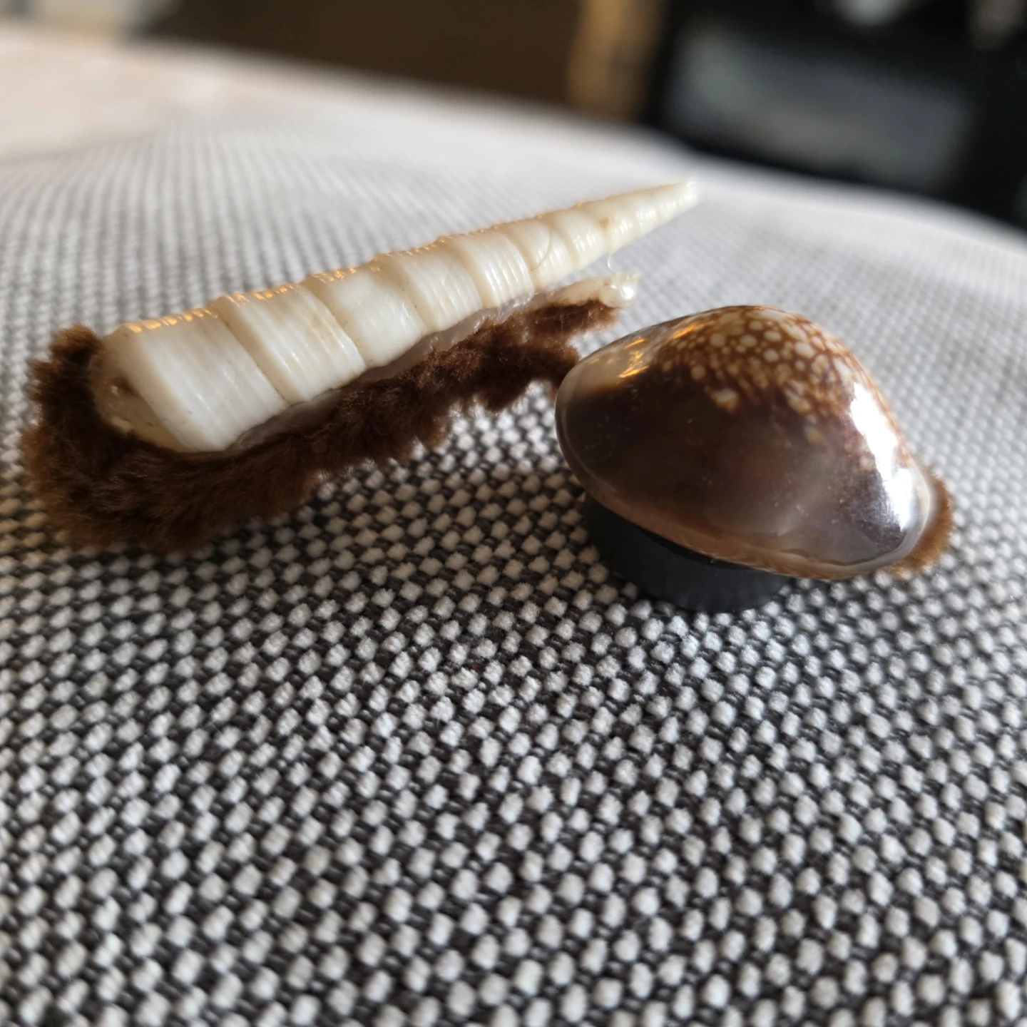 Vintage handmade seashell snail refrigerator magnet. - photo 3