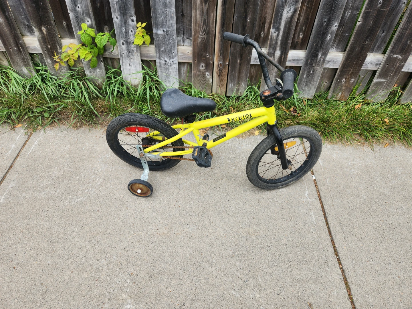 Baccacuda Kids Bike with Training Wheels - photo 2