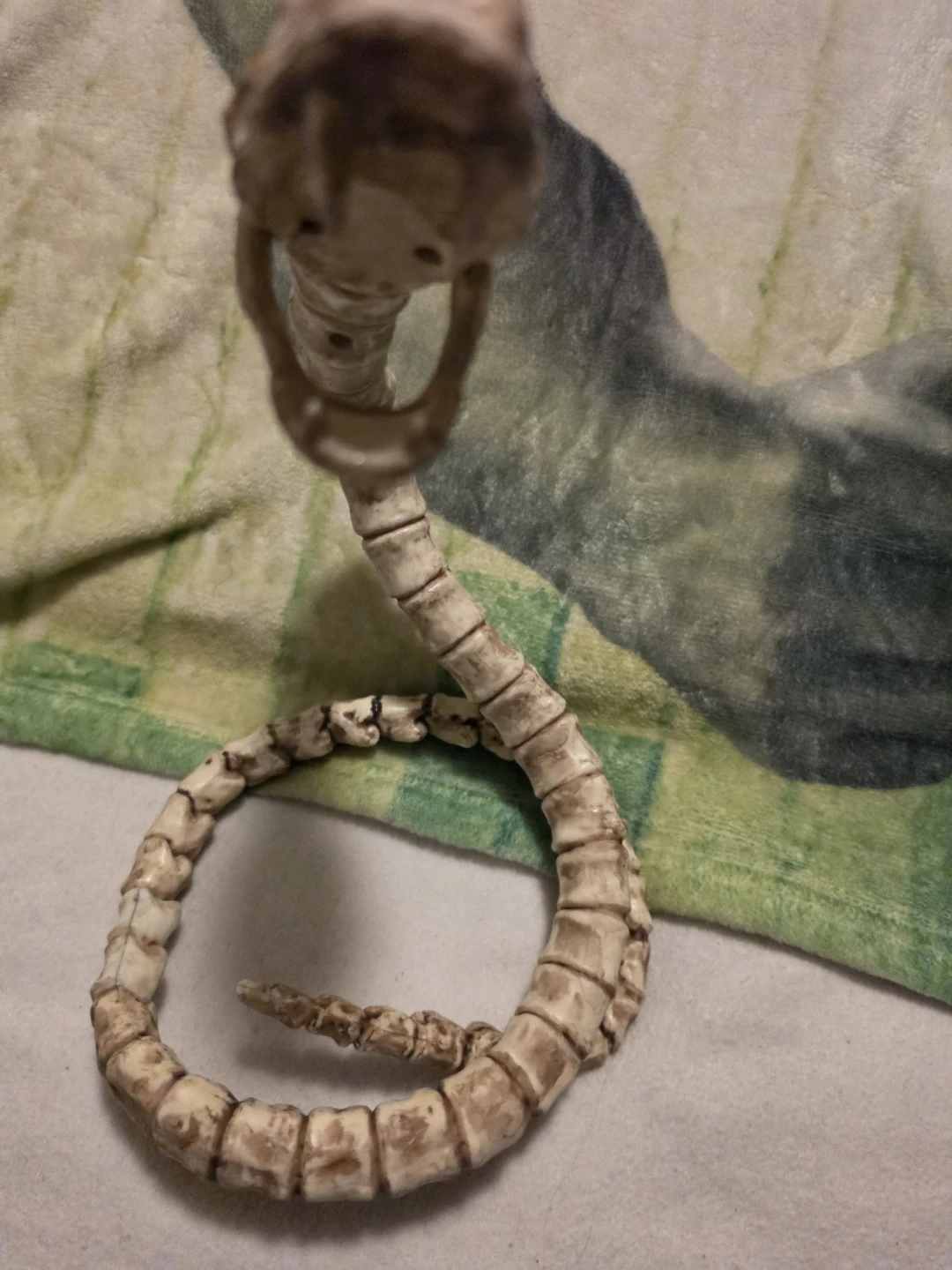 Articulated Bone Skeleton Snake Toy