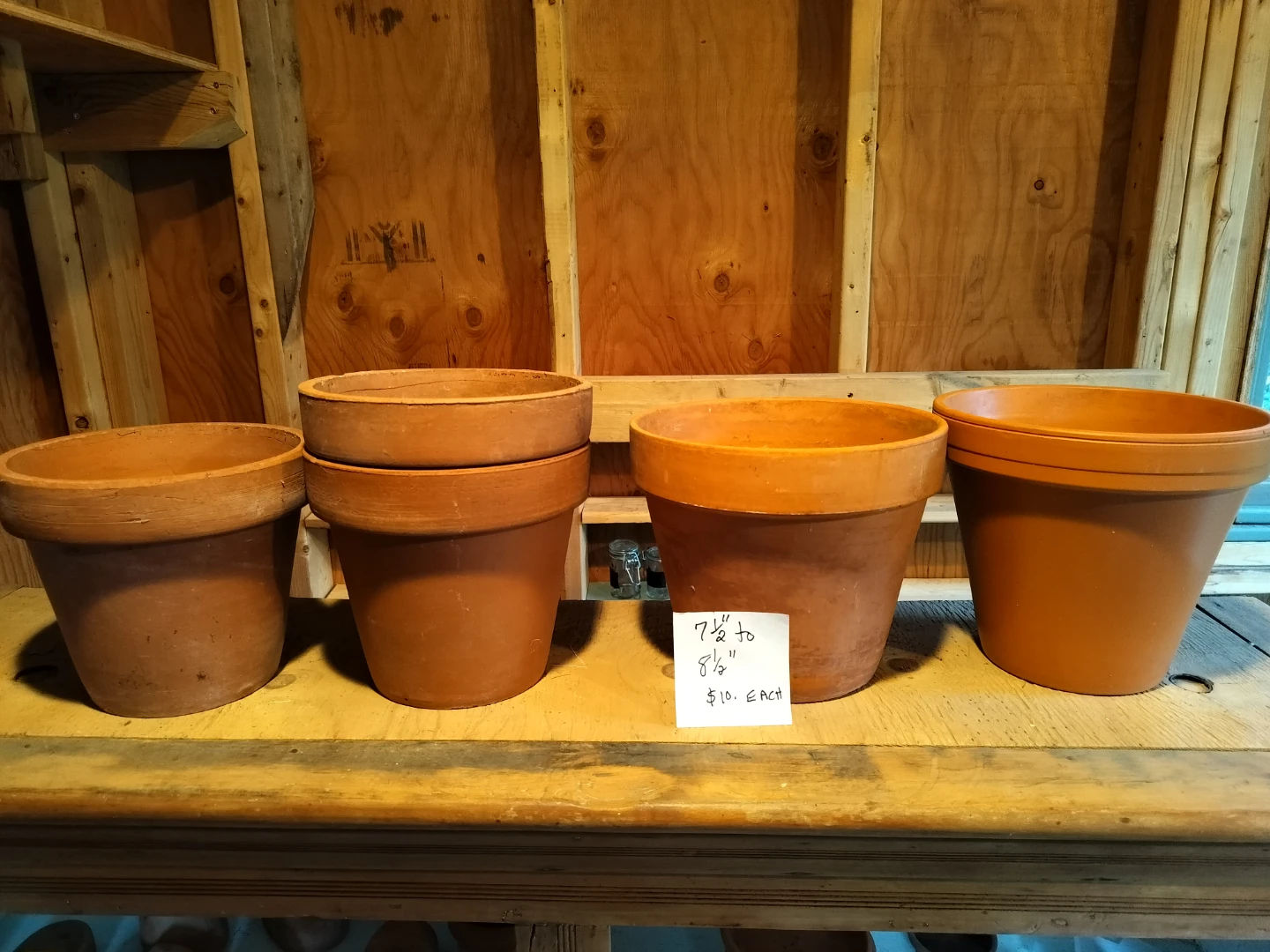 Terracotta plant pots