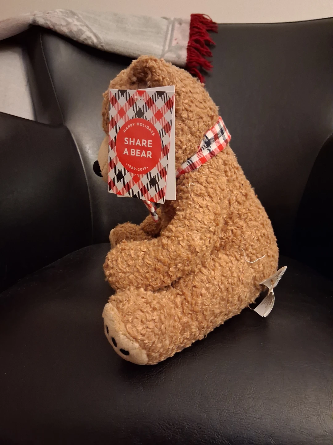 Share a Bear Plush Toy - photo 2