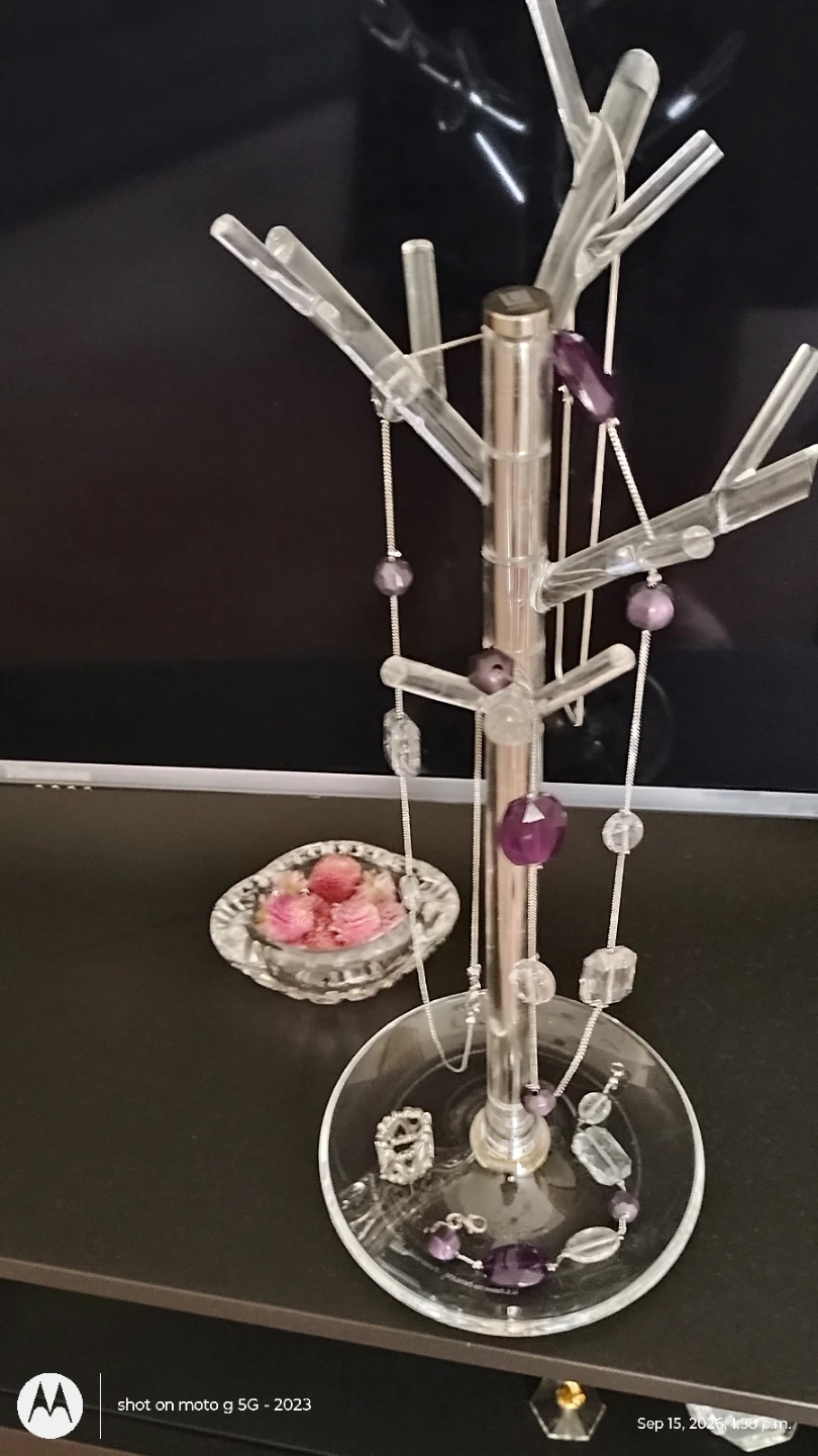 🏈 Umbra Design By David Quan Jewelry Tree Stand