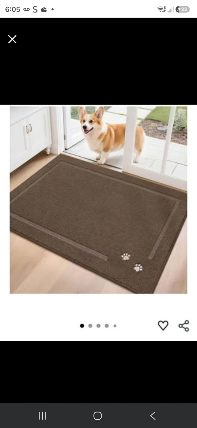 Brown Pet Door Mat