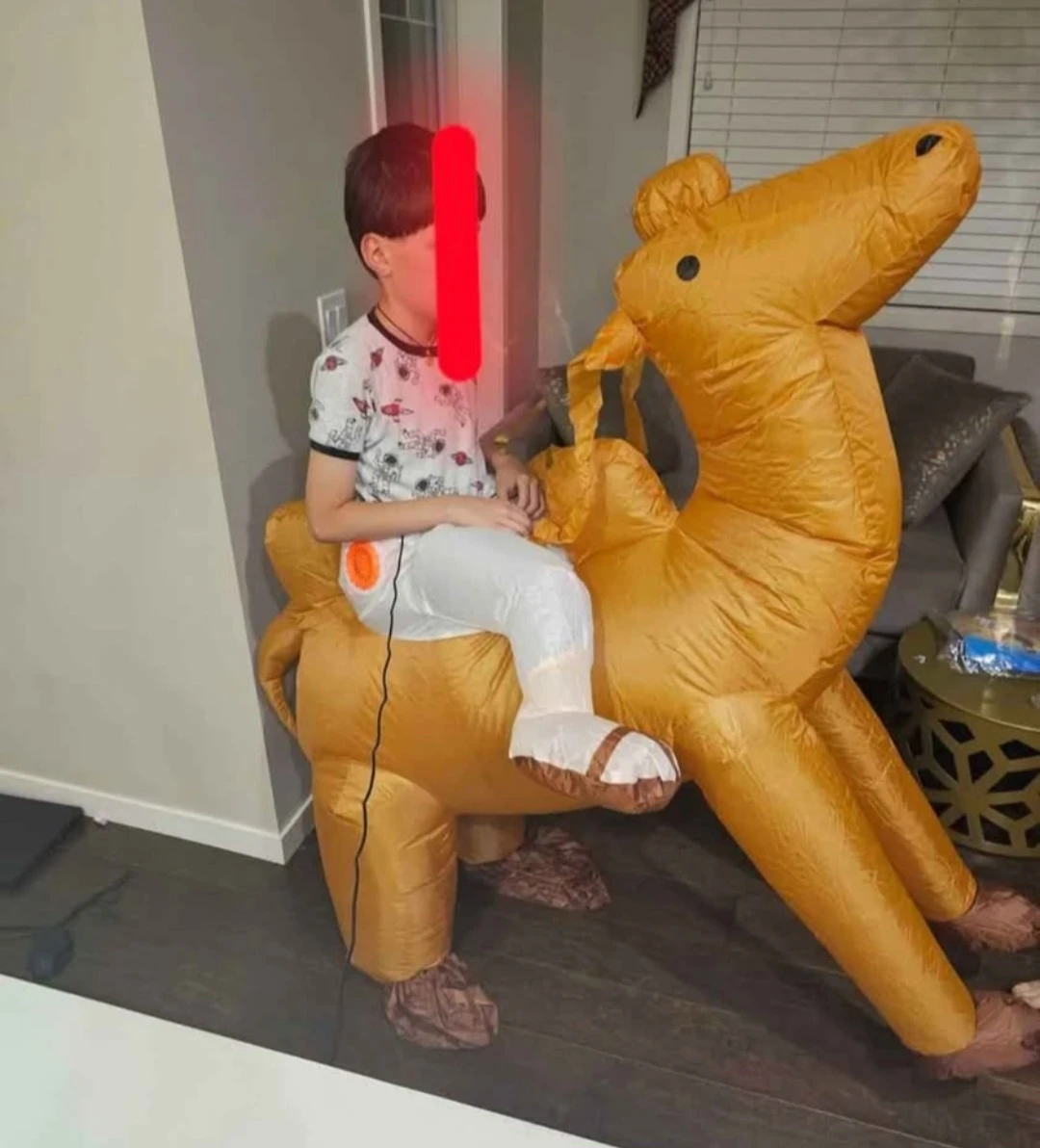 Inflatable Camel Halloween Costume - photo 5