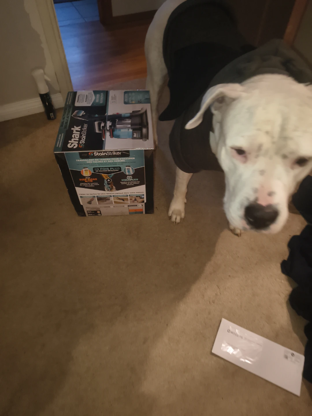 Shark StainStriker Spot & Stain Eliminator - photo 3