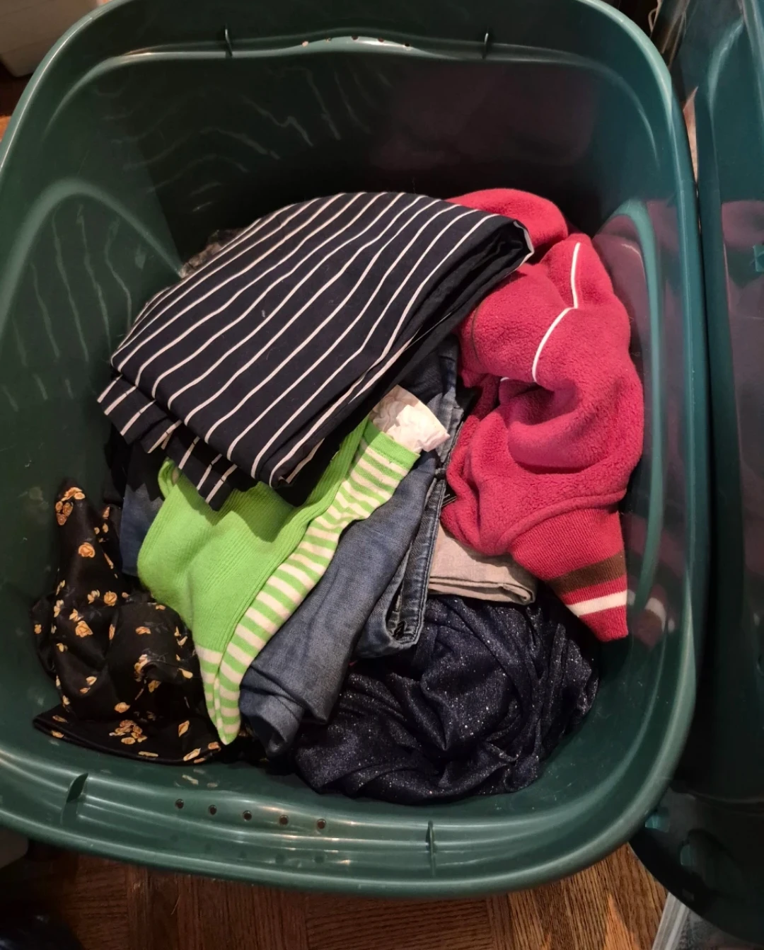 Storage Bin Clear Out - photo 3