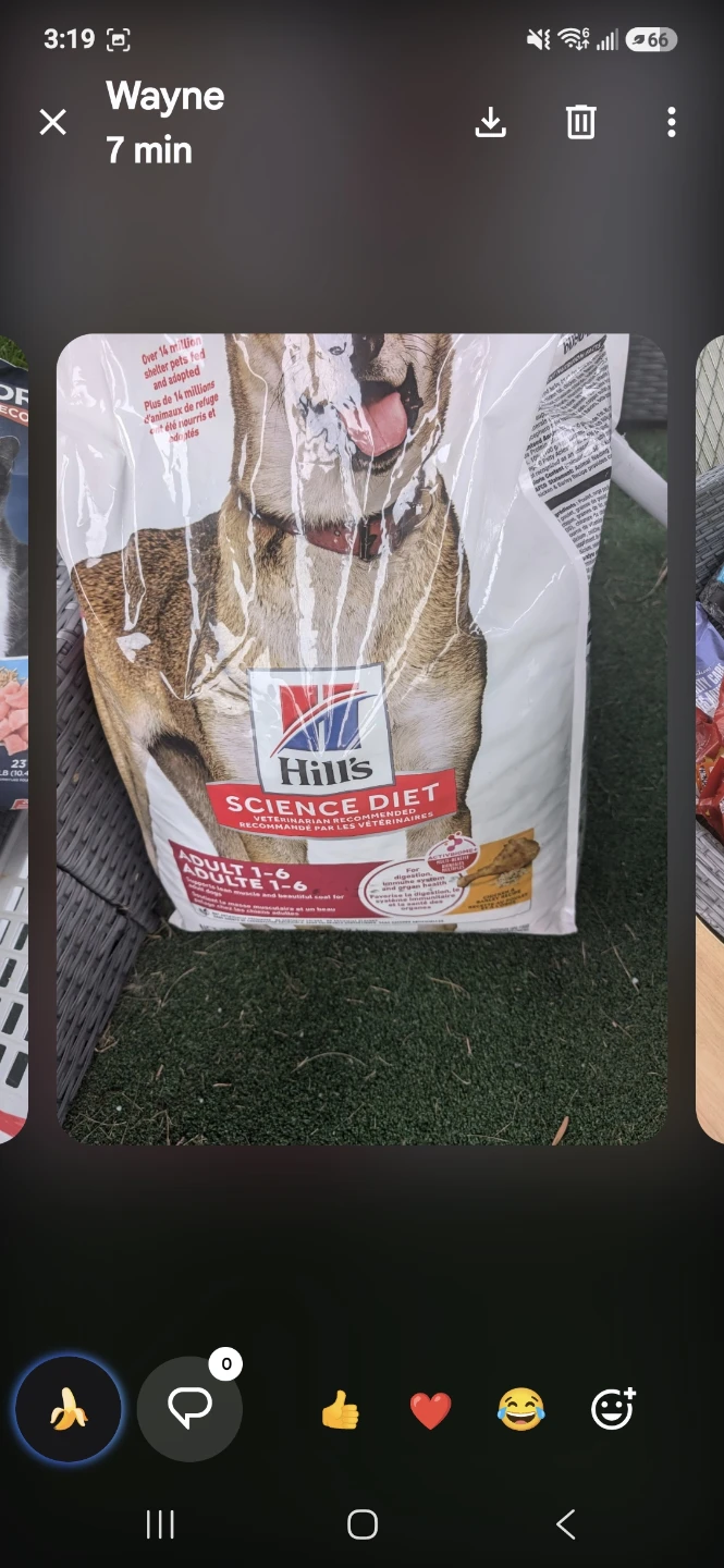 Wide variety of dog and cat food - photo 2