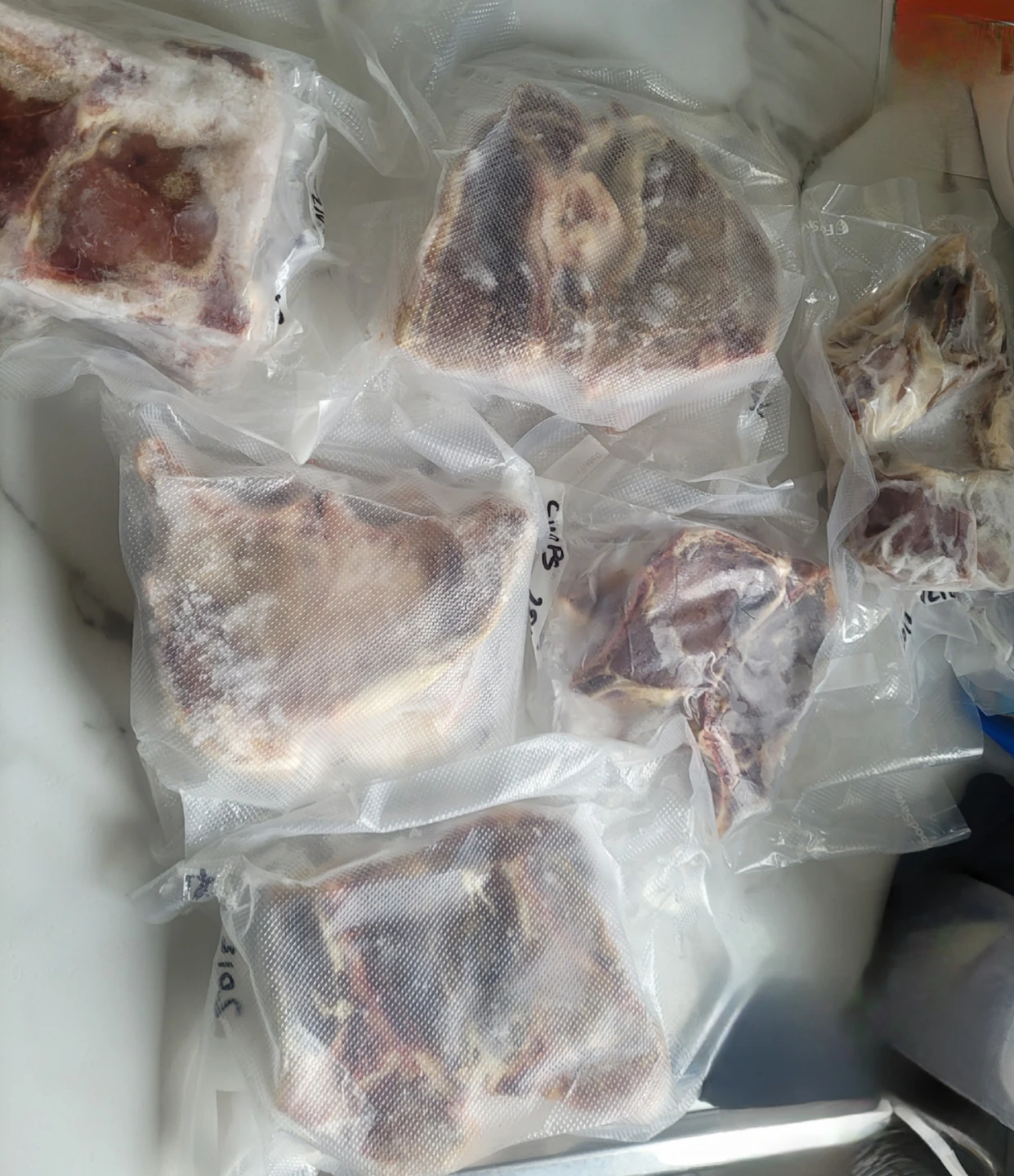 Free Freezer burnt  Llama chops & various cuts