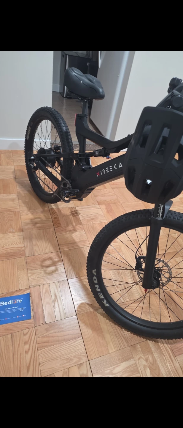 Nireeka Revenant E-bike - photo 2