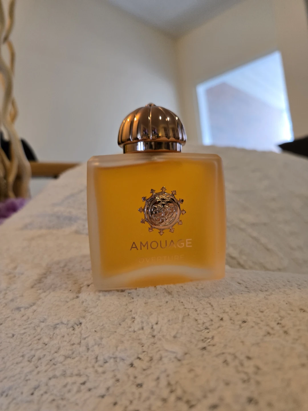Amouage Overture Eau De Parfum 100ml - photo 2