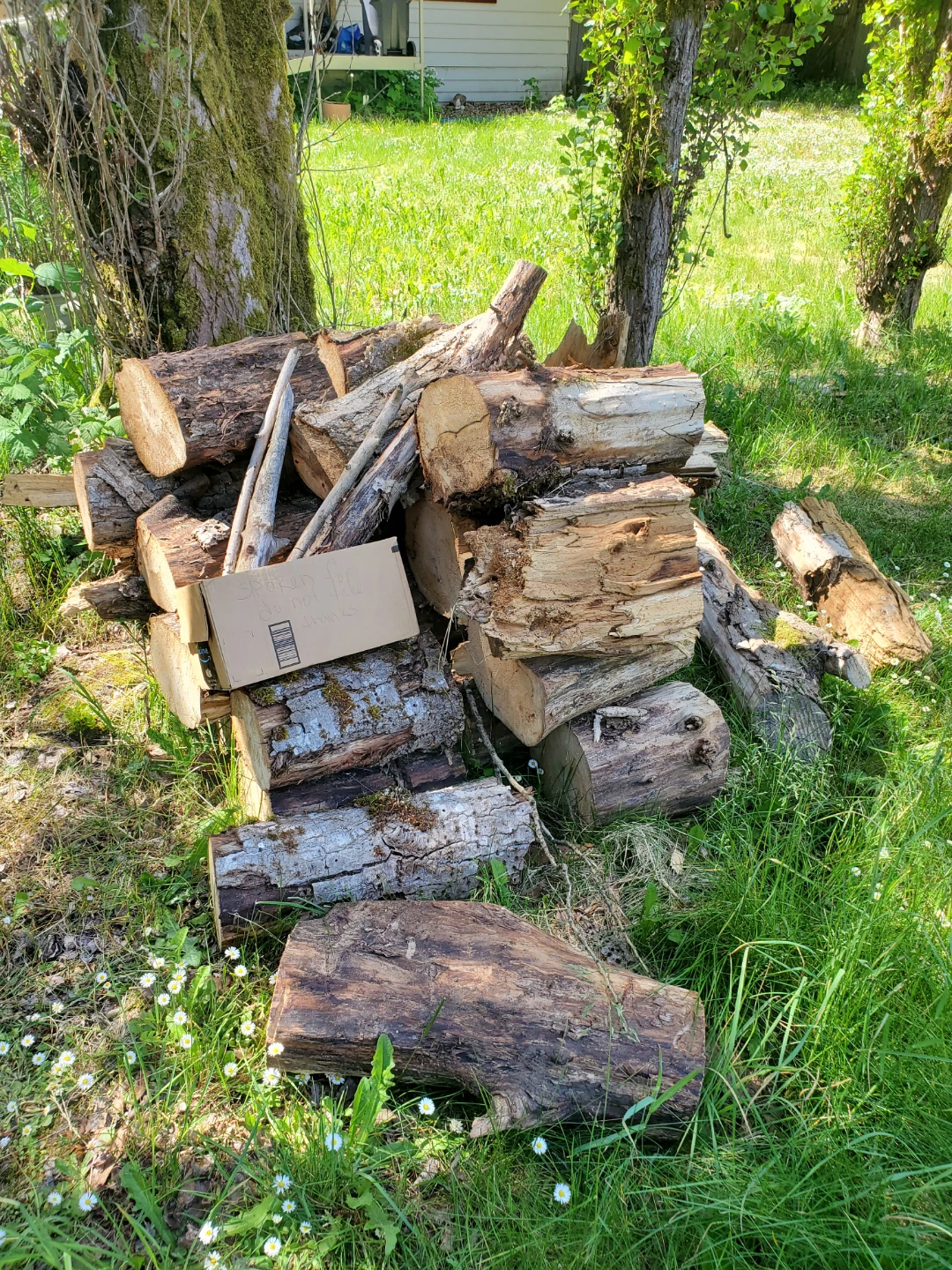 Assorted of Wood Pieces - photo 3