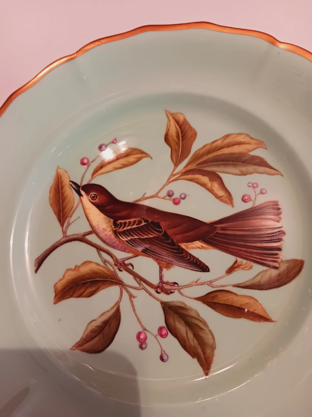 Spode Bone China Townsend's Solitaire Plate - photo 3