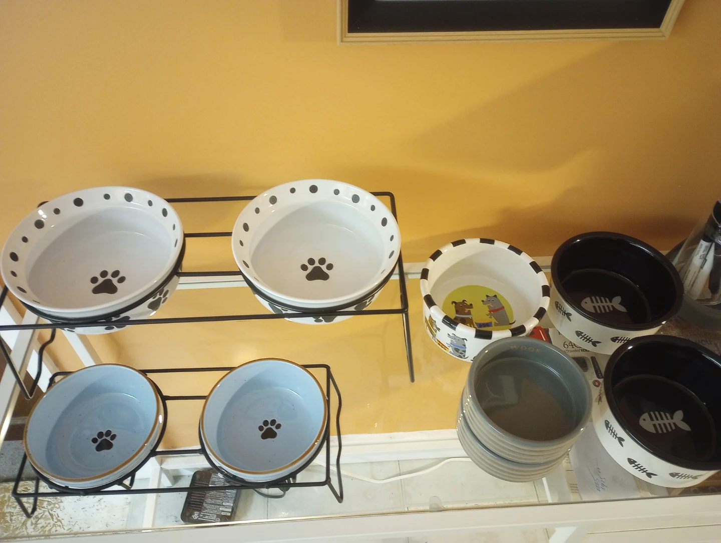 Pet Bowl Extravaganza - photo 2