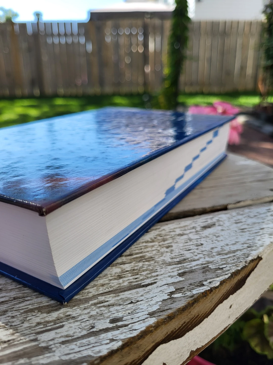 The Canadian Writer's Handbook Fourth Edition 🏈 - photo 2