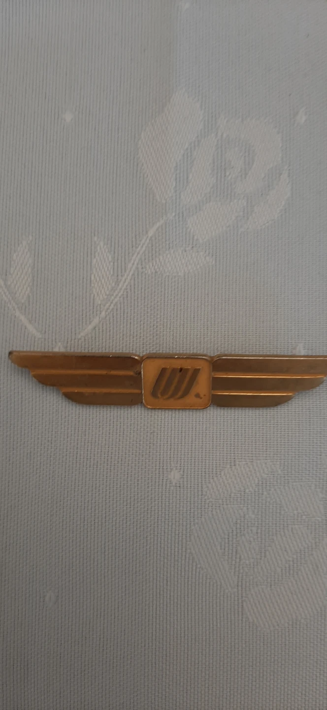 Vintage United Airline Stewardess Wings.