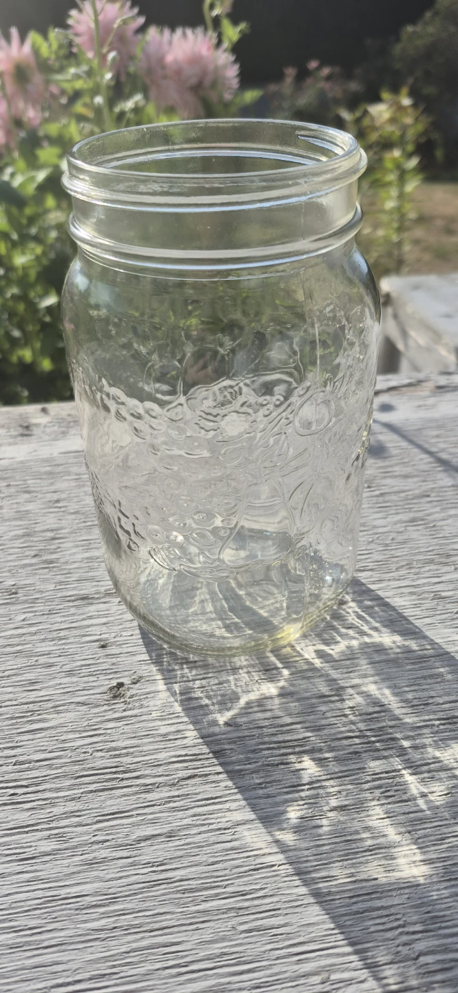 Set of 12 Mason Jars with Rings - photo 2