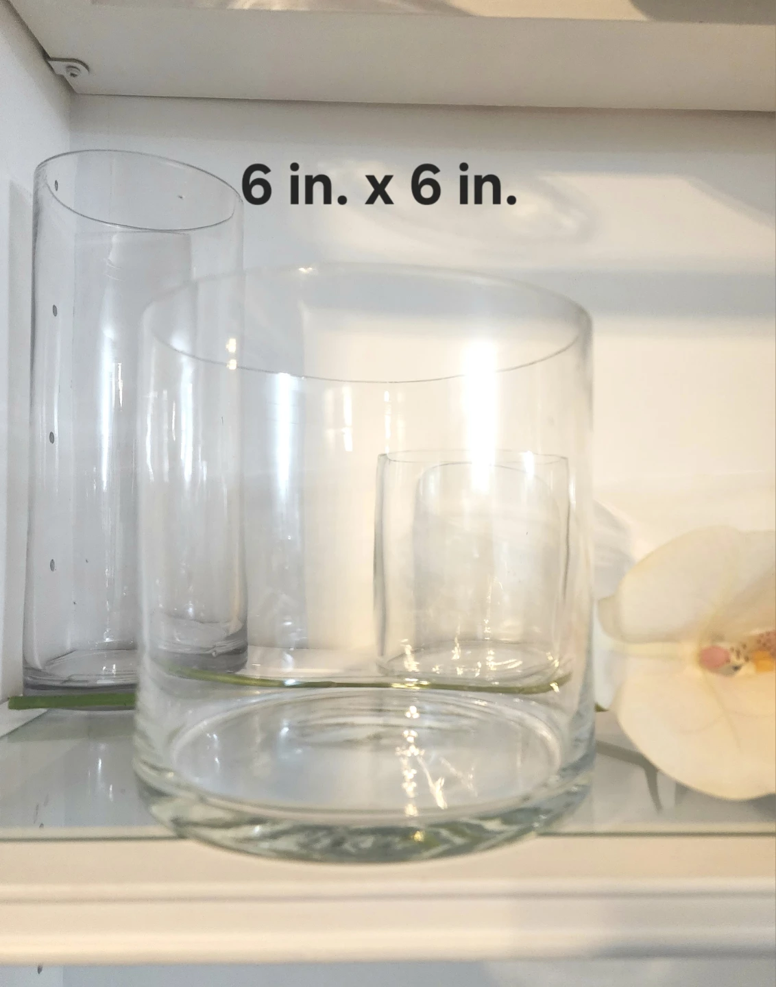 WGV Clear Glass Cylinder Vase 6 inch