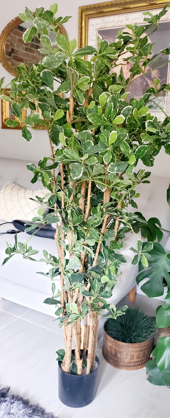 Variegated Artificial Floor Plant