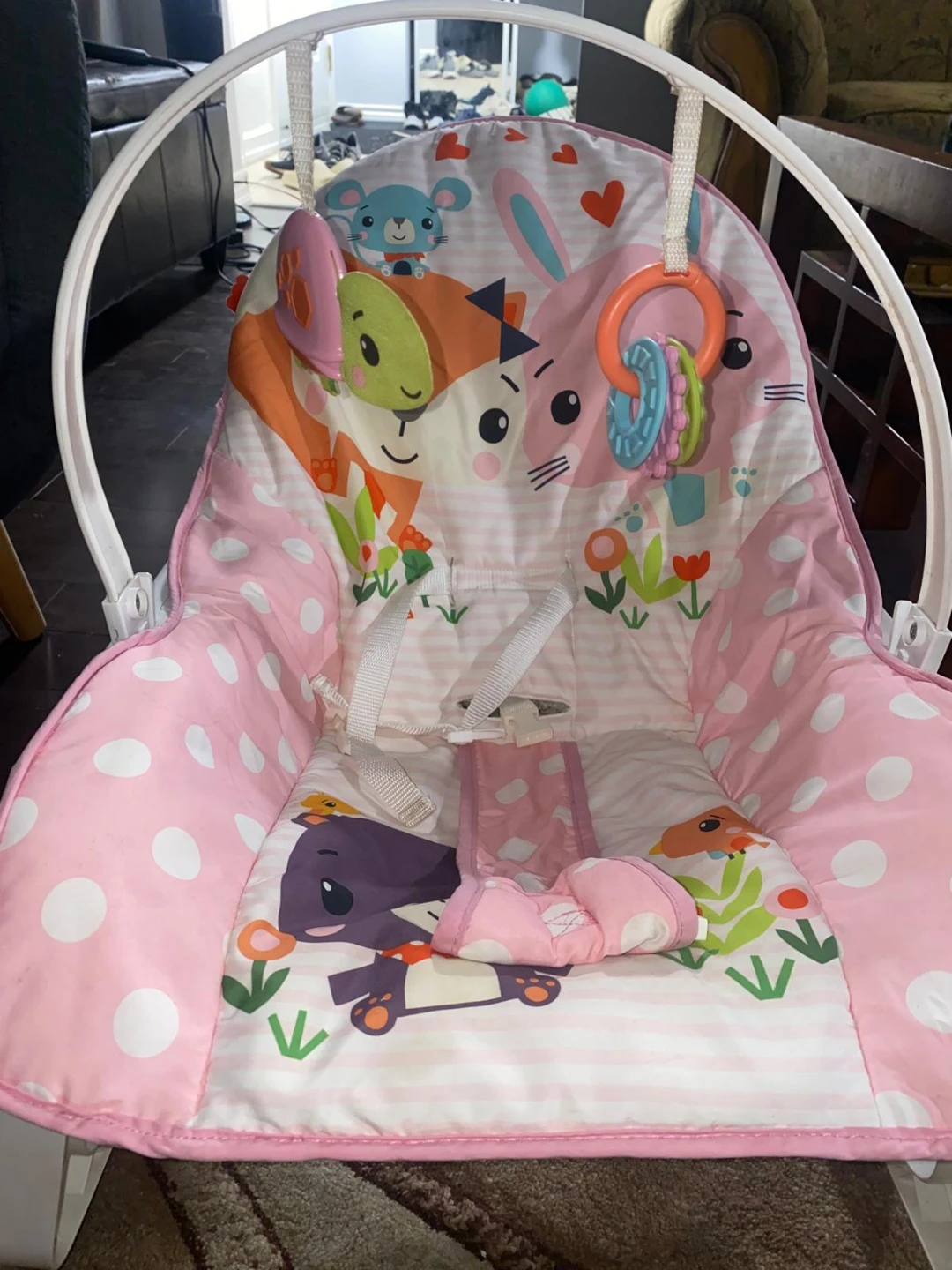 Fisher-Price Infant Rocker