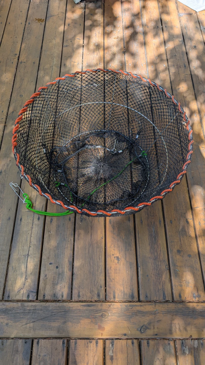 Collapsible Crab Trap with Rope