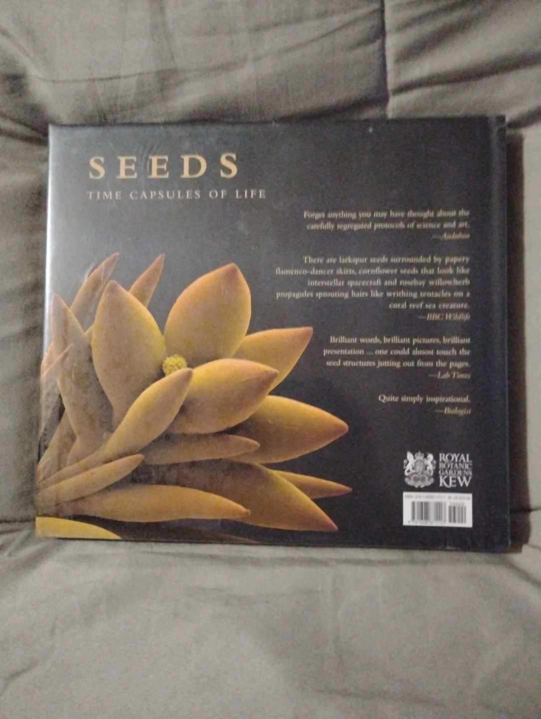 Seeds: Time Capsules of Life by Kesseler & Stuppy - photo 2