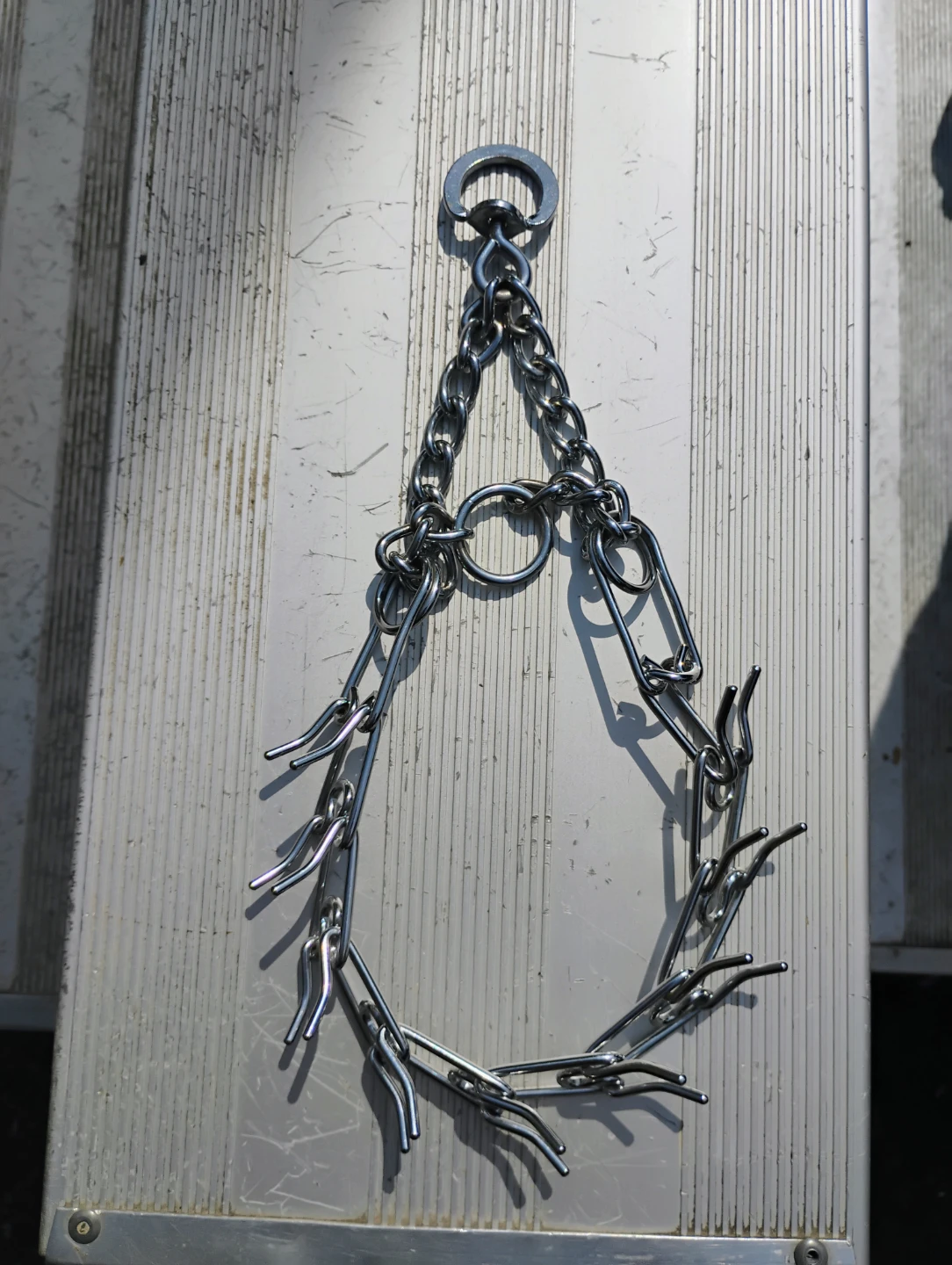 Chrome Pinch Dog Collar