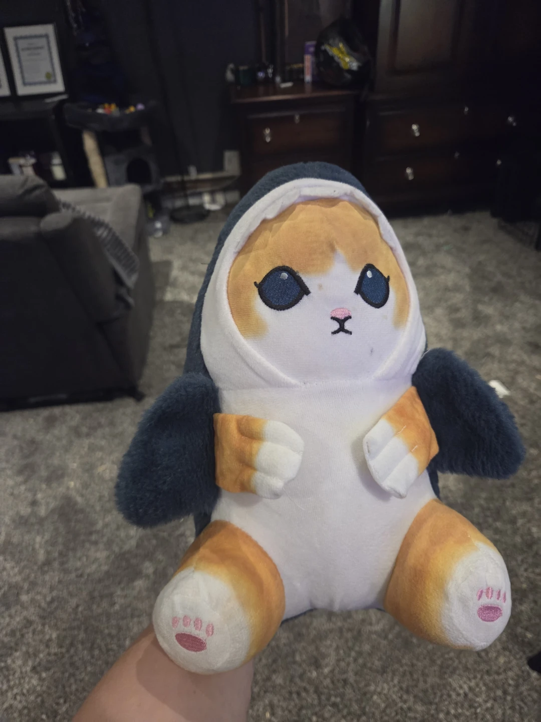 Cat in Shark Costume Plush