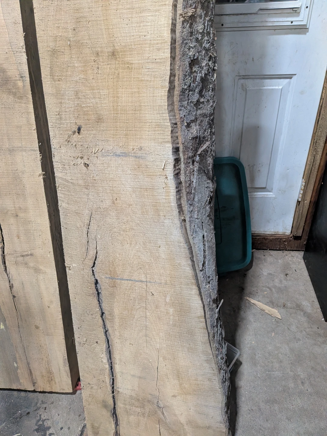 Live Edge Maple Slabs