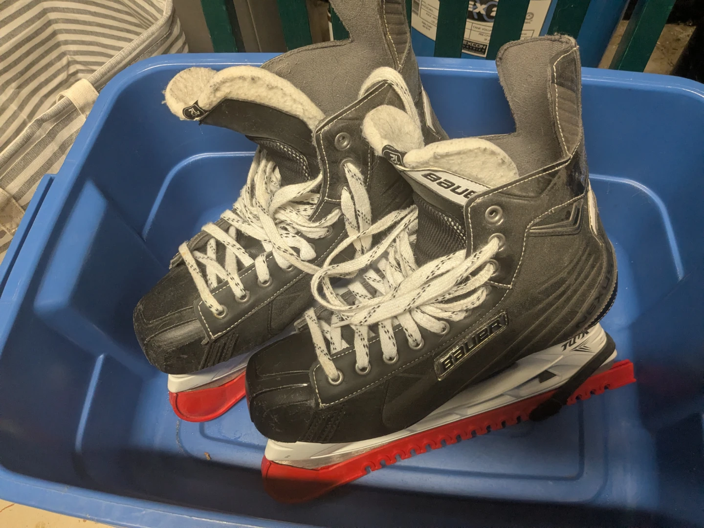 Bauer Nexus Hockey Skates