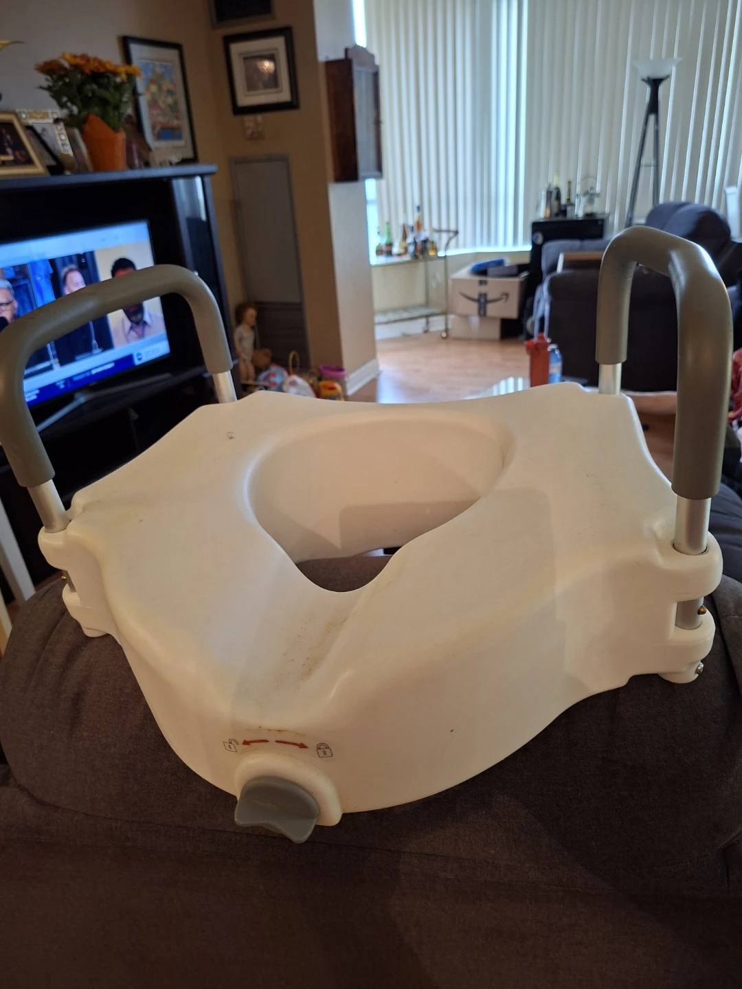 Raised Toilet Seat with Handles