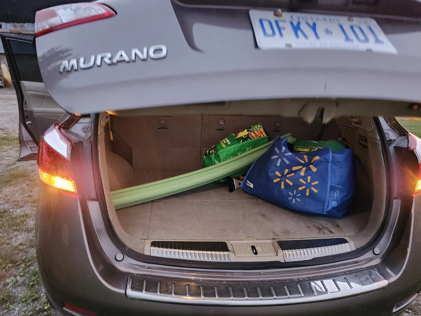 Nissan Murano SL - photo 4