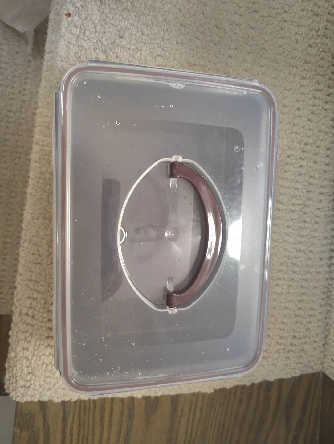 Clear Plastic Storage Container with Handle