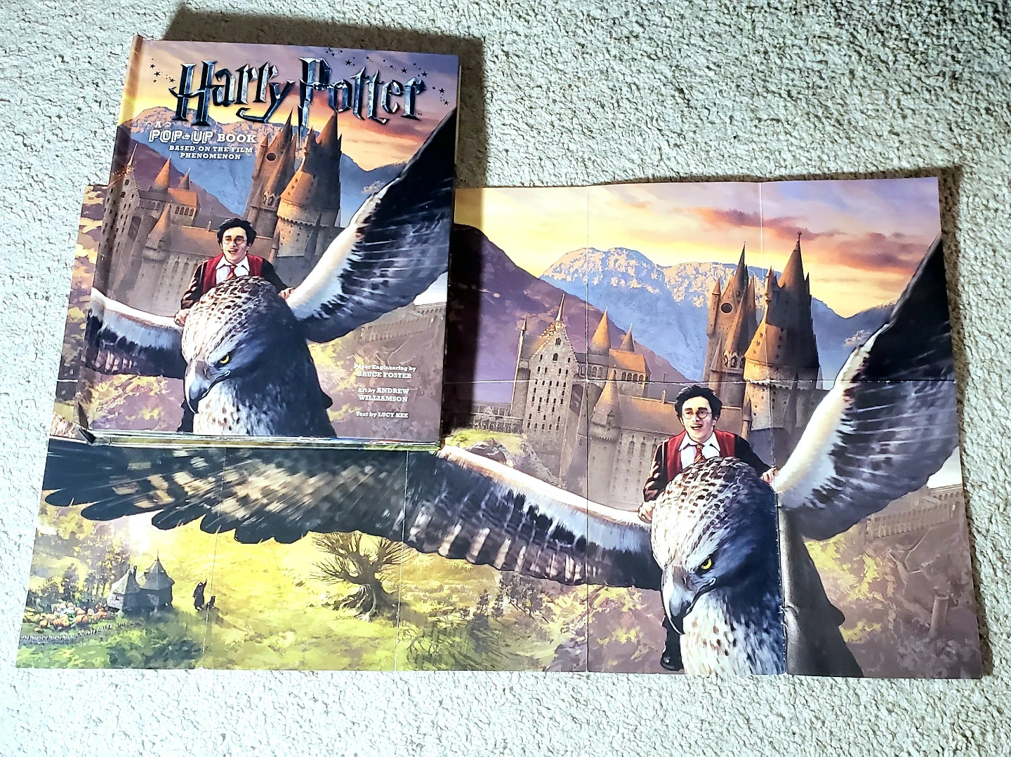 Harry Potter - A Pop-Up Book Based on the Film Phenomenon