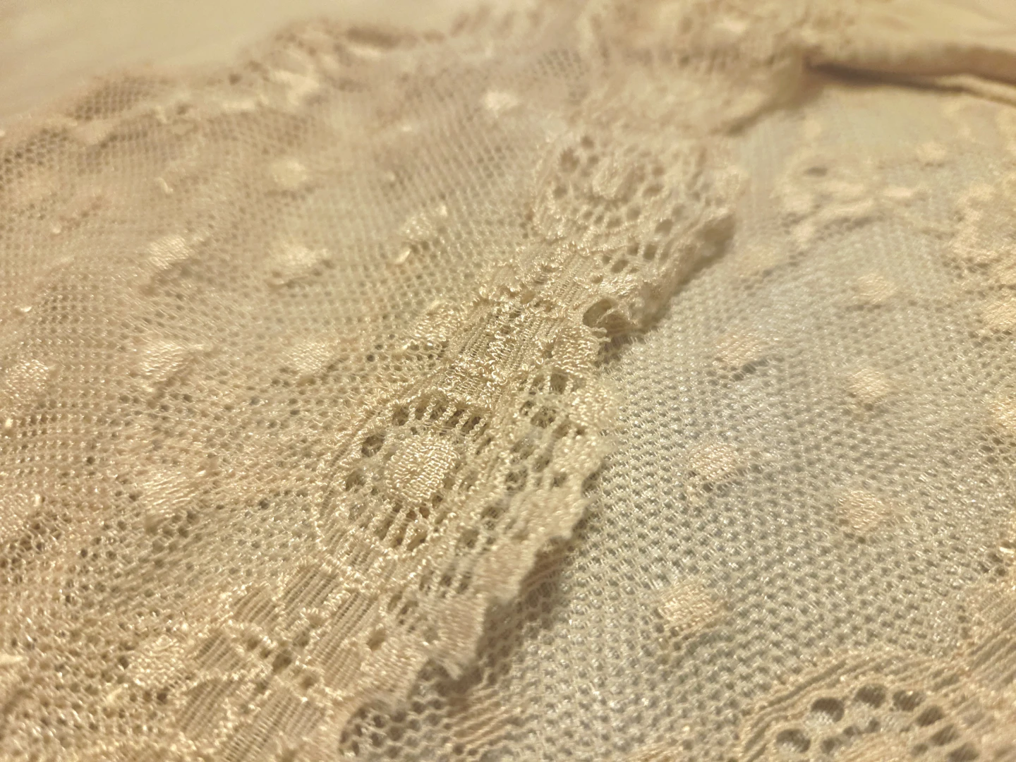 DKNY Beige Lace Bodysuit - photo 4