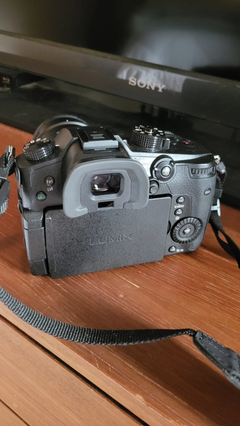 Panasonic Lumix GH5 camera and lens - photo 2