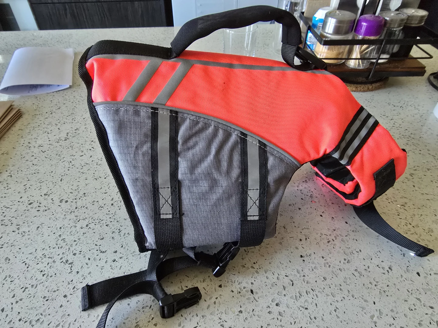 Pet life jacket