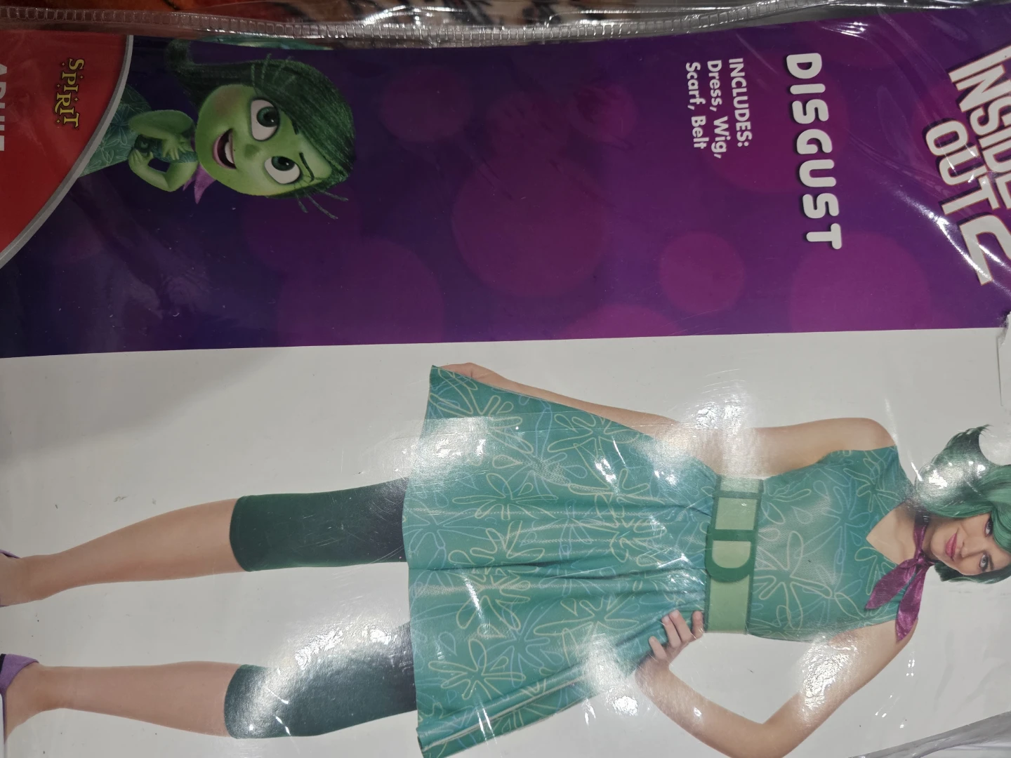 Disgust Halloween Costume