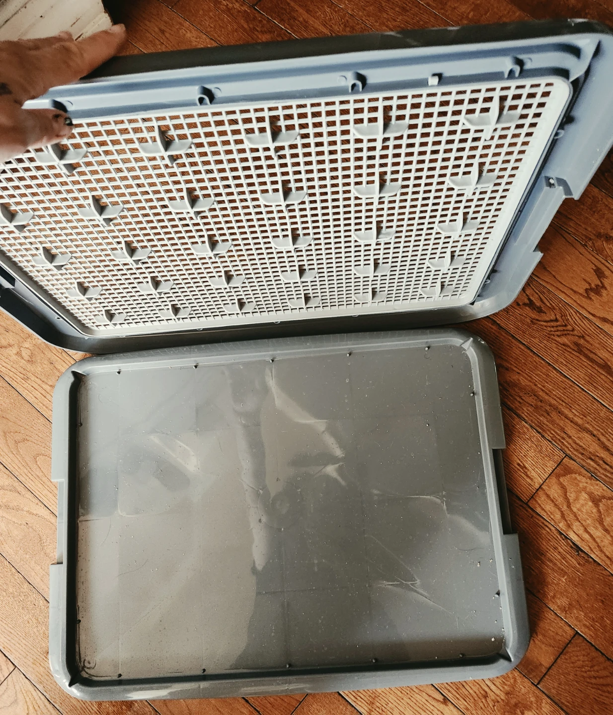 Top Paw Dog Pad Holder - photo 3