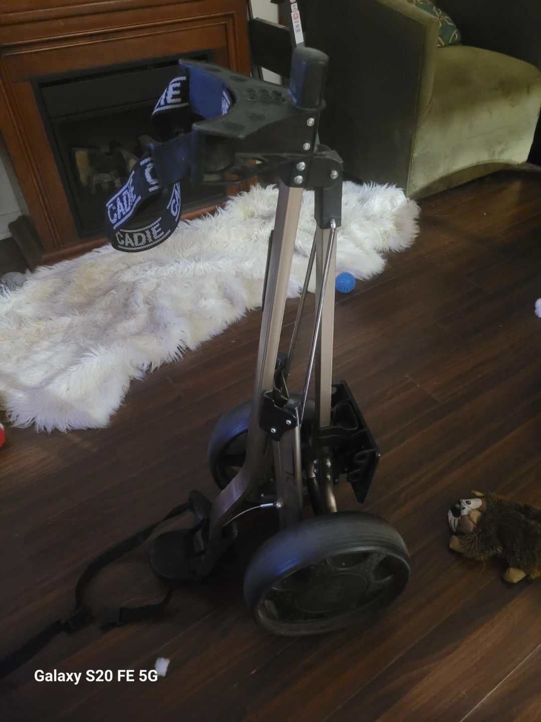 Golf caddy