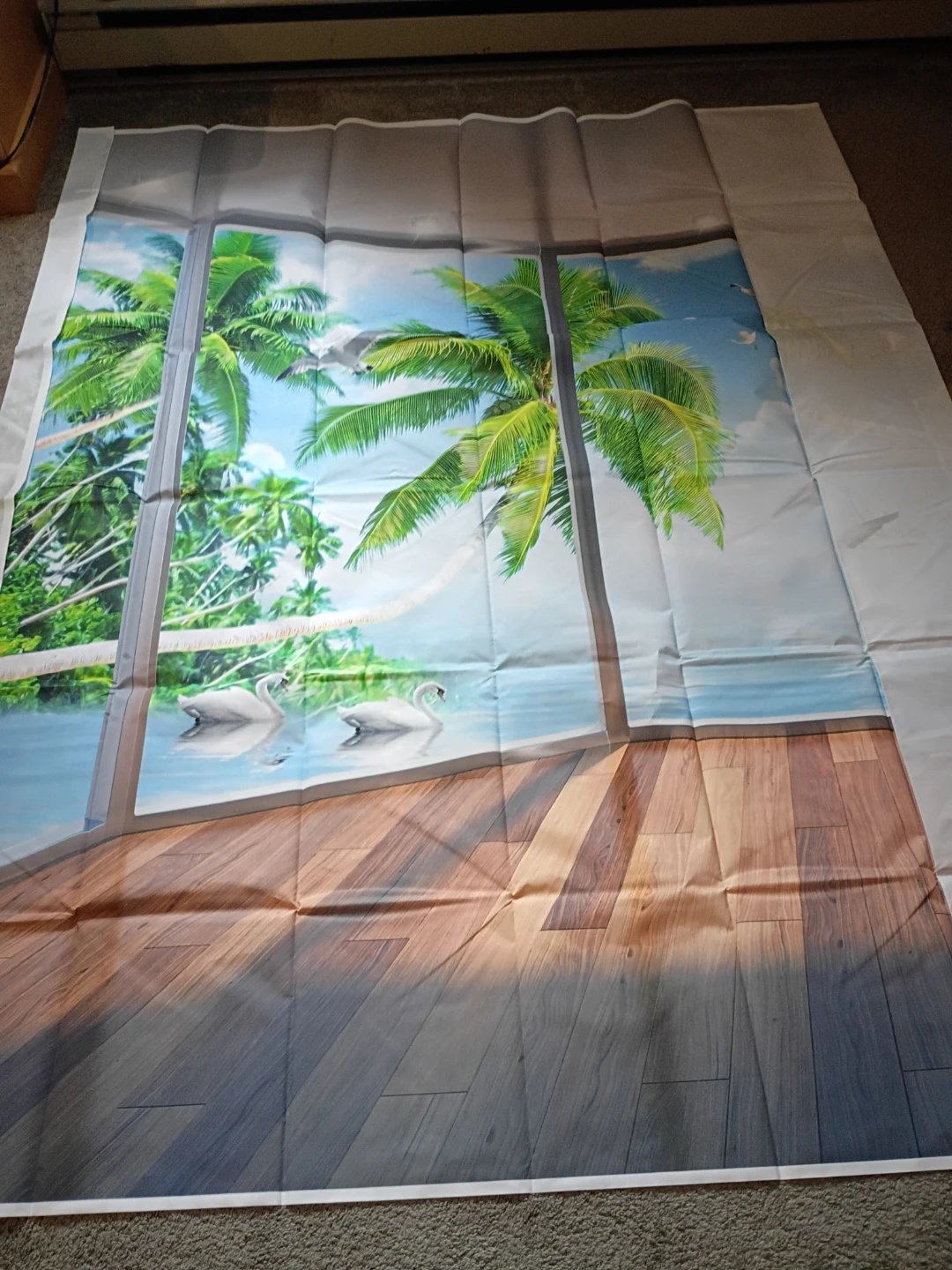 Backdrop for photography - photo 2
