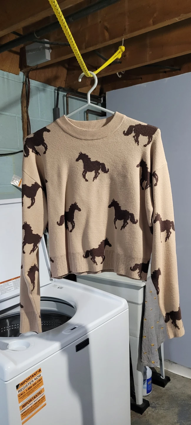 Horse Sweater/Stuffies