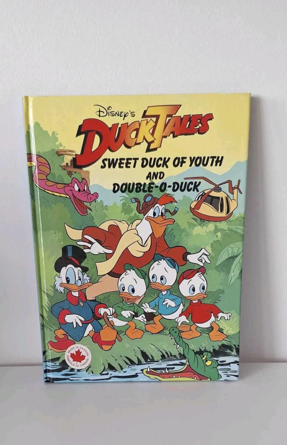 Disney DuckTales Sweet Duck of Youth Book