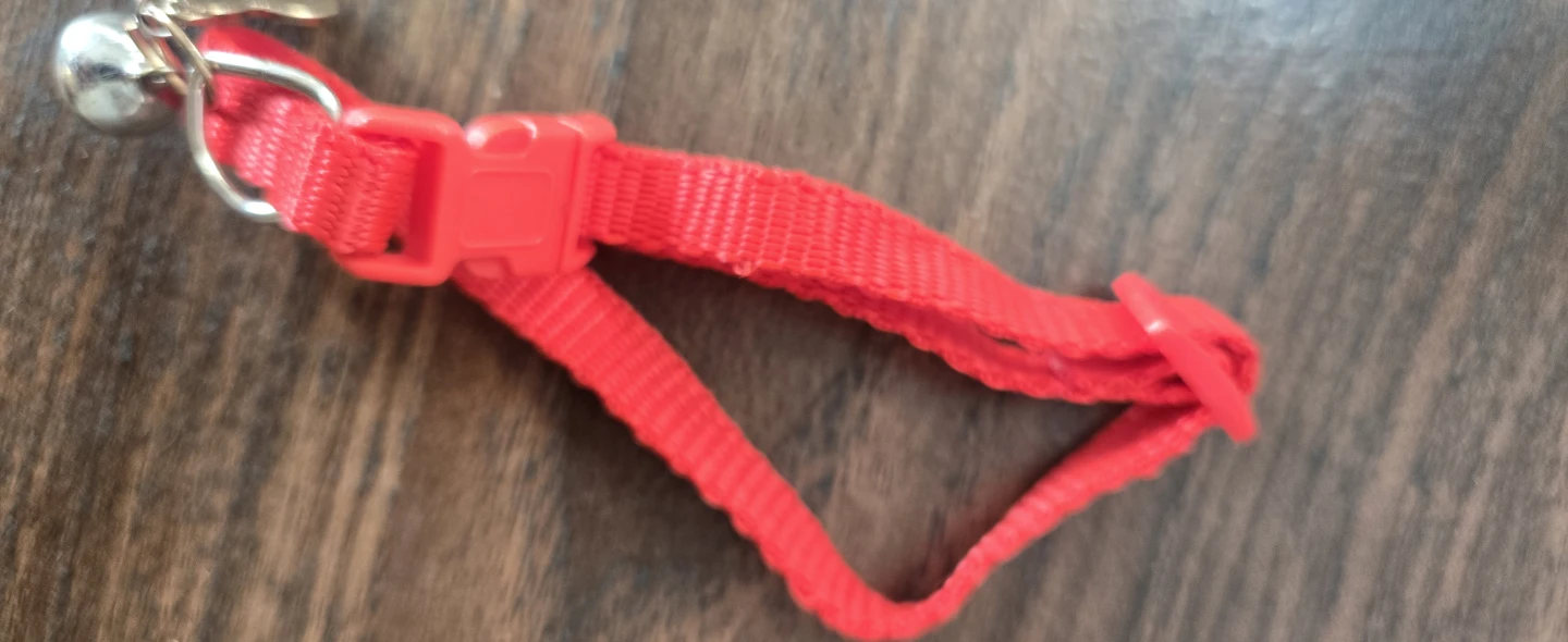 Red Christmas Cat Collar - photo 2