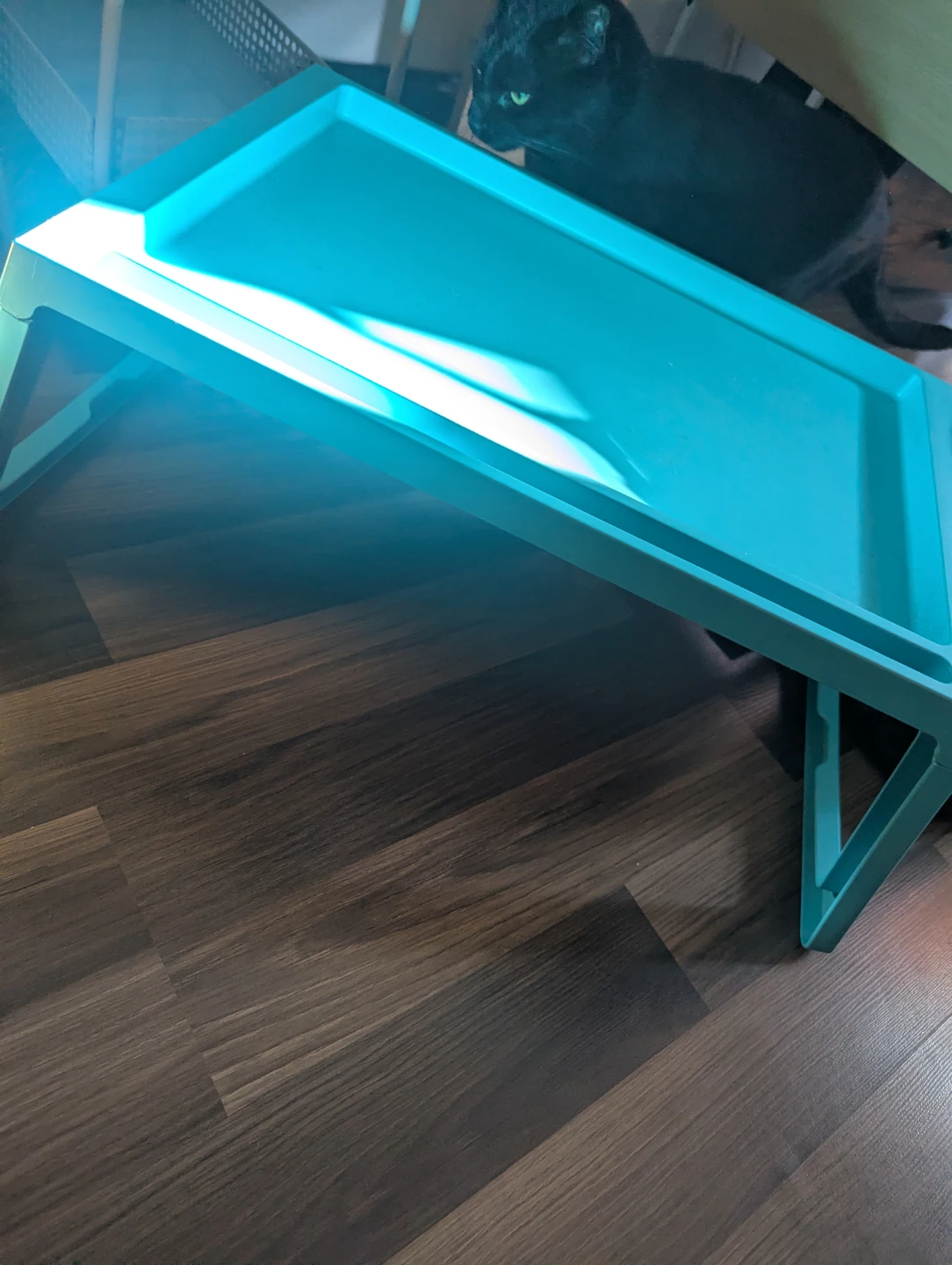 Bed or couch tray